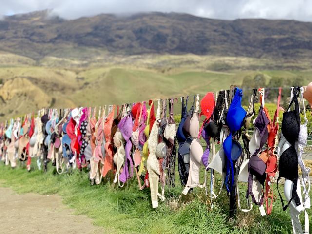 Cardrona Bra Fence