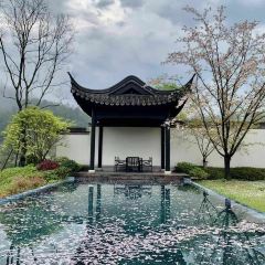 BAI YUN User Photo