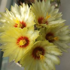 優芝味（綜合店）張用戶圖片