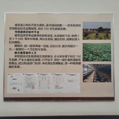 新桥东大酒店(建设路店) 여행 사진