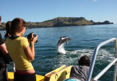 North Island