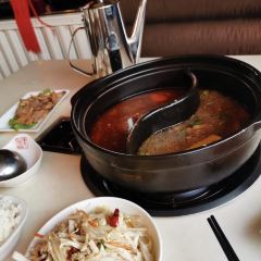 Jin Tou Ba Nao Niu Yi Guo User Photo