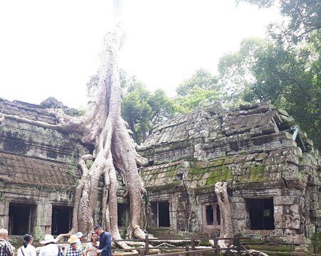 Ta Prohm寺廟
