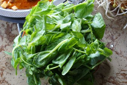 读书铺酸笋鸡创始店