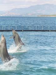 蘇碧灣海洋冒險樂園