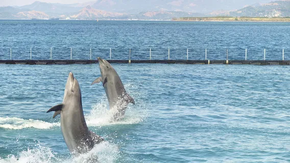 오션 어드벤처, 수빅 베이
