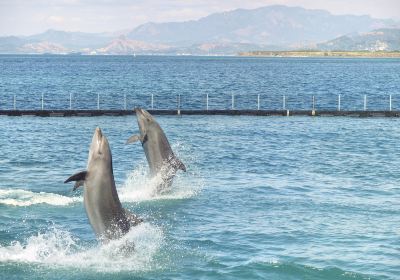 Ocean Adventure