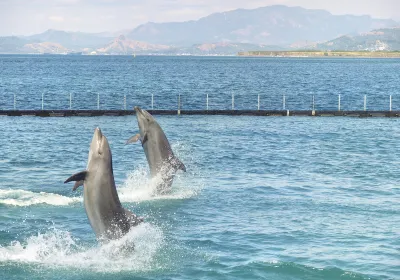 Ocean Adventure