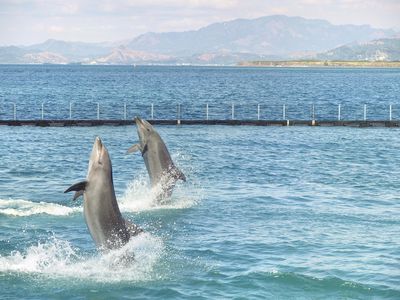 Ocean Adventure, Subic Bay