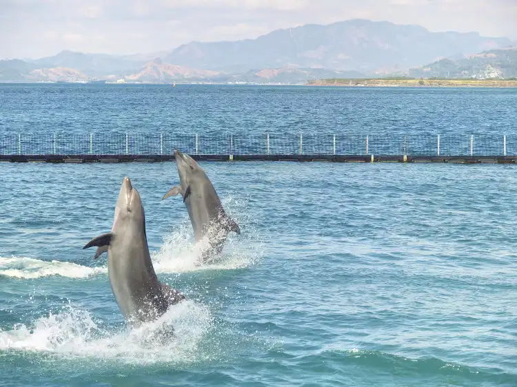 Hotels near Ocean Adventure, Subic Bay