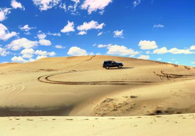 Naiman Desert