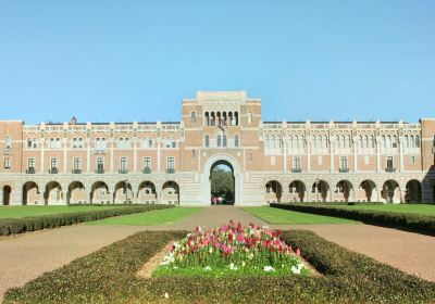 Rice University