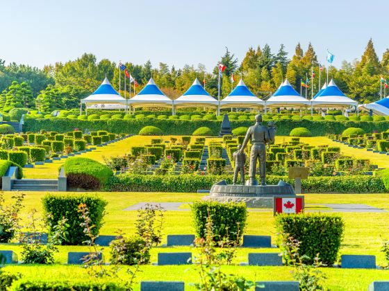 UN Memorial Cemetery in Korea