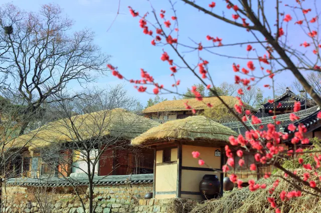韓國 KTX 慶州站周邊景點推薦 慶州良洞村