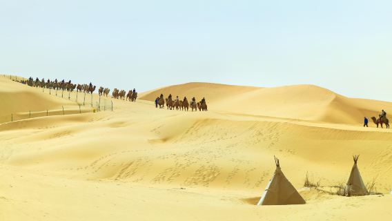 Private Day Tour to Kubuqi Desert from Hohhot