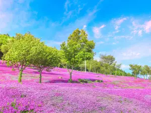 Takinoue Park