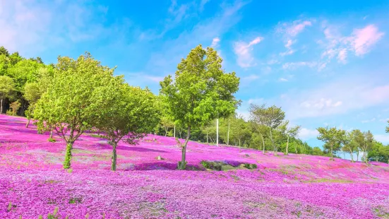 滝の上公園