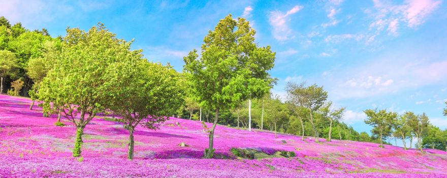 Takinoue Park
