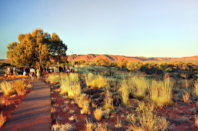 Watarrka National Park