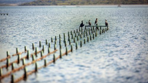 Freycinet Marine Farm