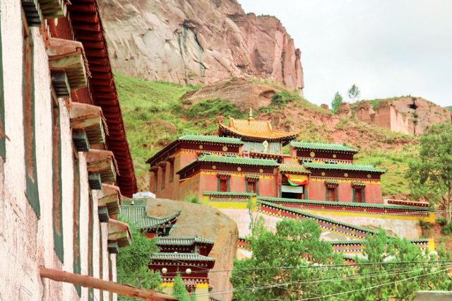高山草甸