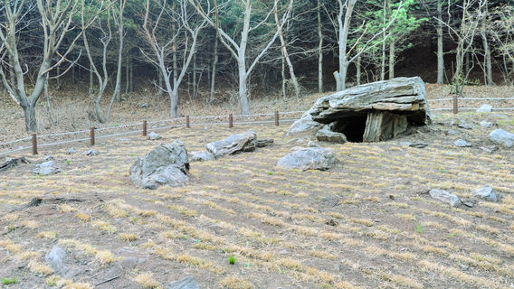 仁川日遊