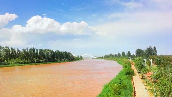 Yellow River Ecological Wetland Park