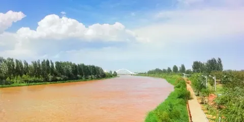 黃河濕地生態公園