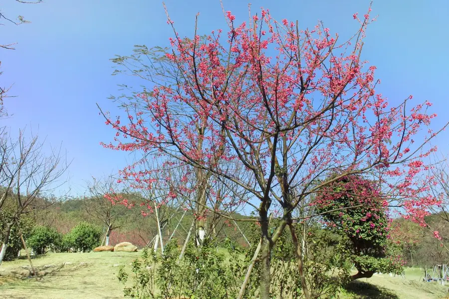 叱石風景区