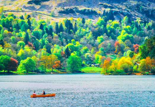 Lake District National Park day tour|Comfortable minibus/Windermere Lake cruise included