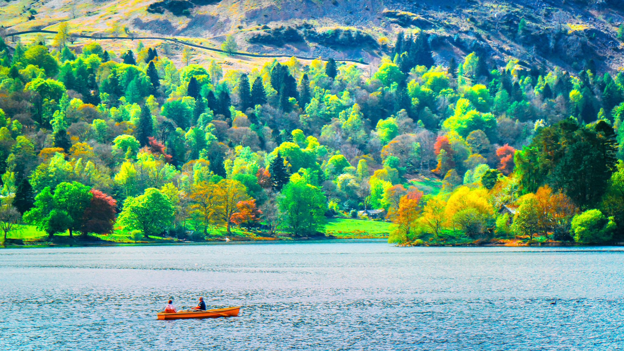 1-day tour of Lake District National Park|Premium small group tour including Windermere Lake cruise