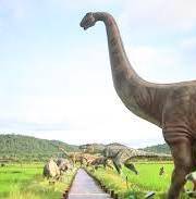 China’s Well-Known Dinosaur Zone