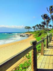 Wailea Beach