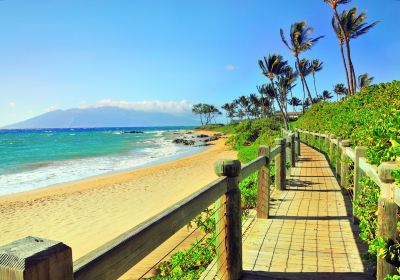 Wailea Beach