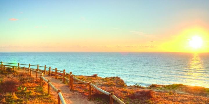 Torrey Pines State Reserve