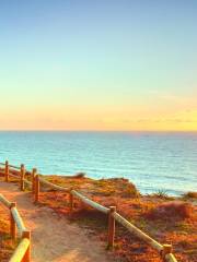 Torrey Pines State Natural Reserve