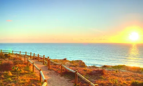 Torrey Pines State Natural Reserve