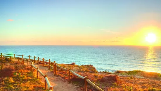 Torrey Pines State Natural Reserve