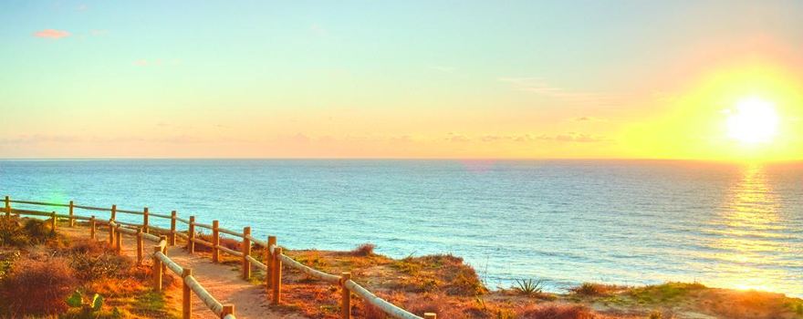 Torrey Pines State Natural Reserve