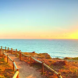 Torrey Pines State Natural Reserve