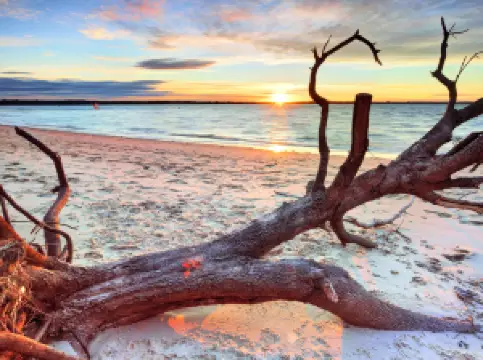 หาดซิลเวอร์