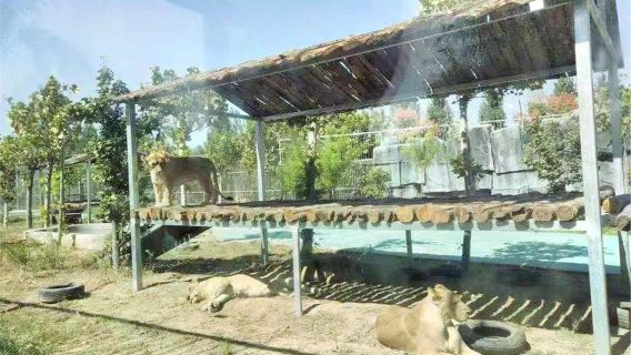 Heze Wildlife World