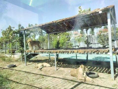 Heze Wildlife World