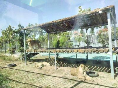 Heze Wildlife World