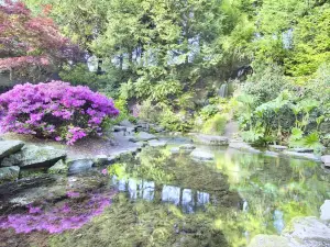 Crystal Springs Rhododendron Garden