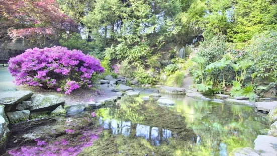 水晶溪杜鵑花園