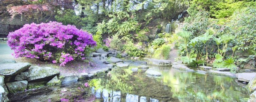 Crystal Springs Rhododendron Garden
