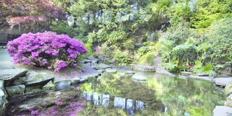 水晶溫泉杜鵑園