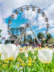 Floriade