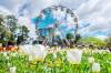 Floriade Tickets [2025] Promos, Prices, Reviews Opening Hours